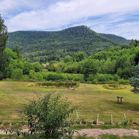 Gite Forestier Du Moulin Raon-sur-Plaine Zewnętrze zdjęcie