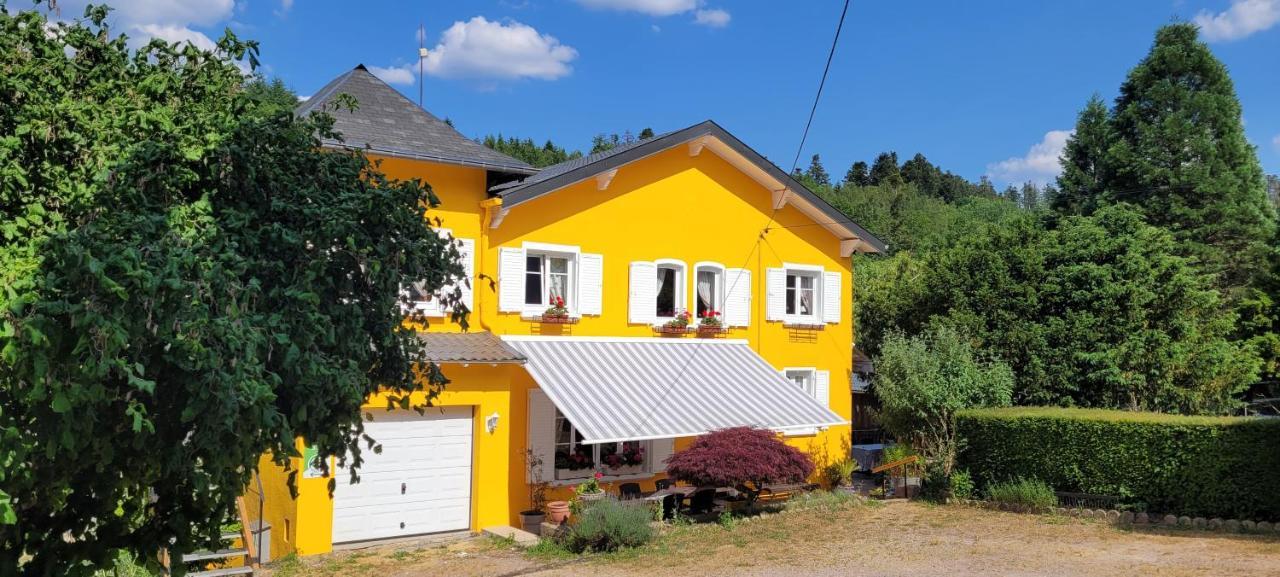 Gite Forestier Du Moulin Raon-sur-Plaine Zewnętrze zdjęcie