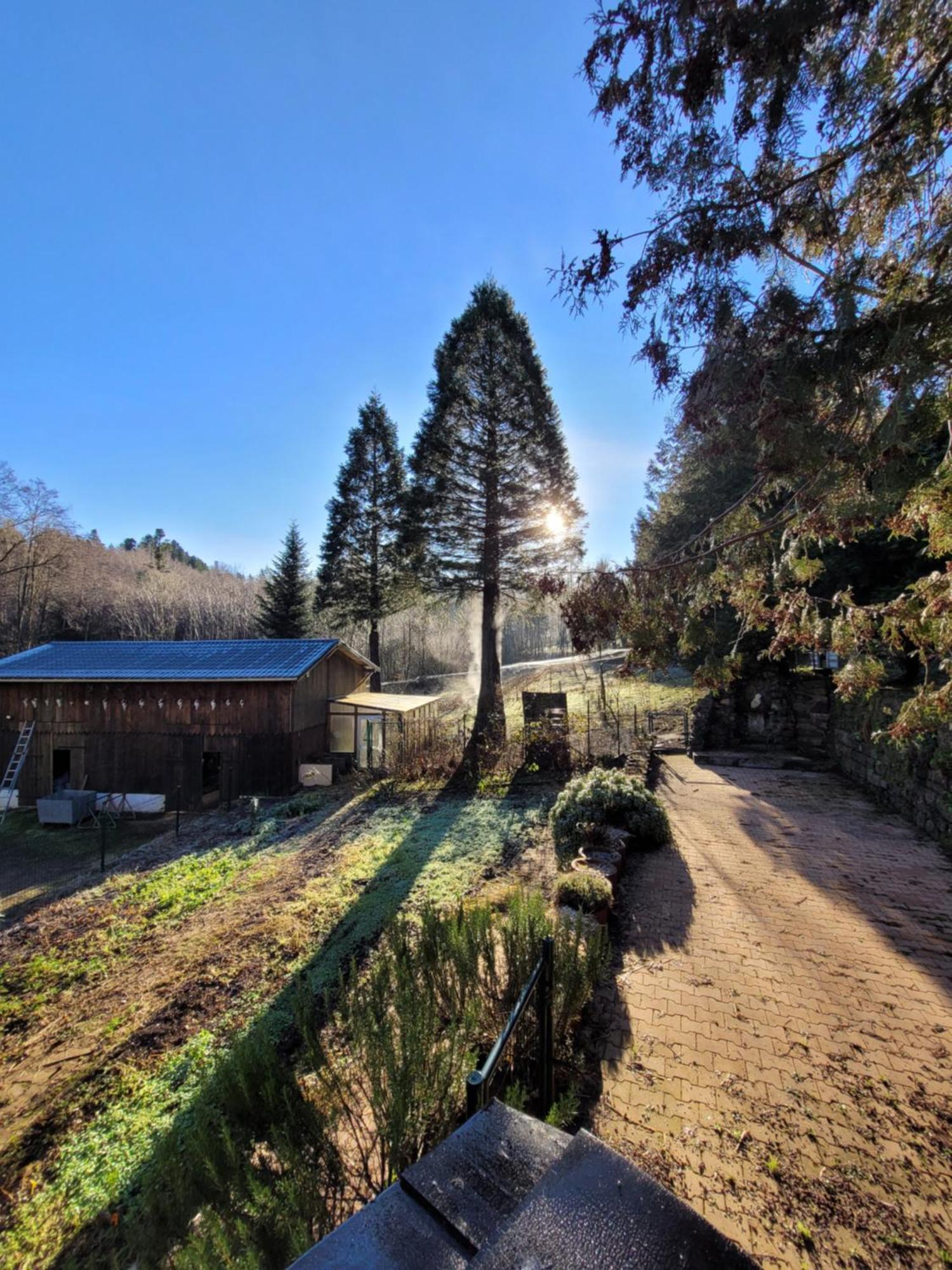 Gite Forestier Du Moulin Raon-sur-Plaine Zewnętrze zdjęcie