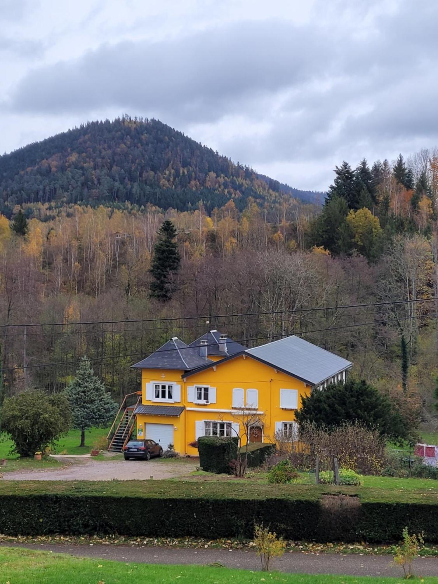 Gite Forestier Du Moulin Raon-sur-Plaine Zewnętrze zdjęcie
