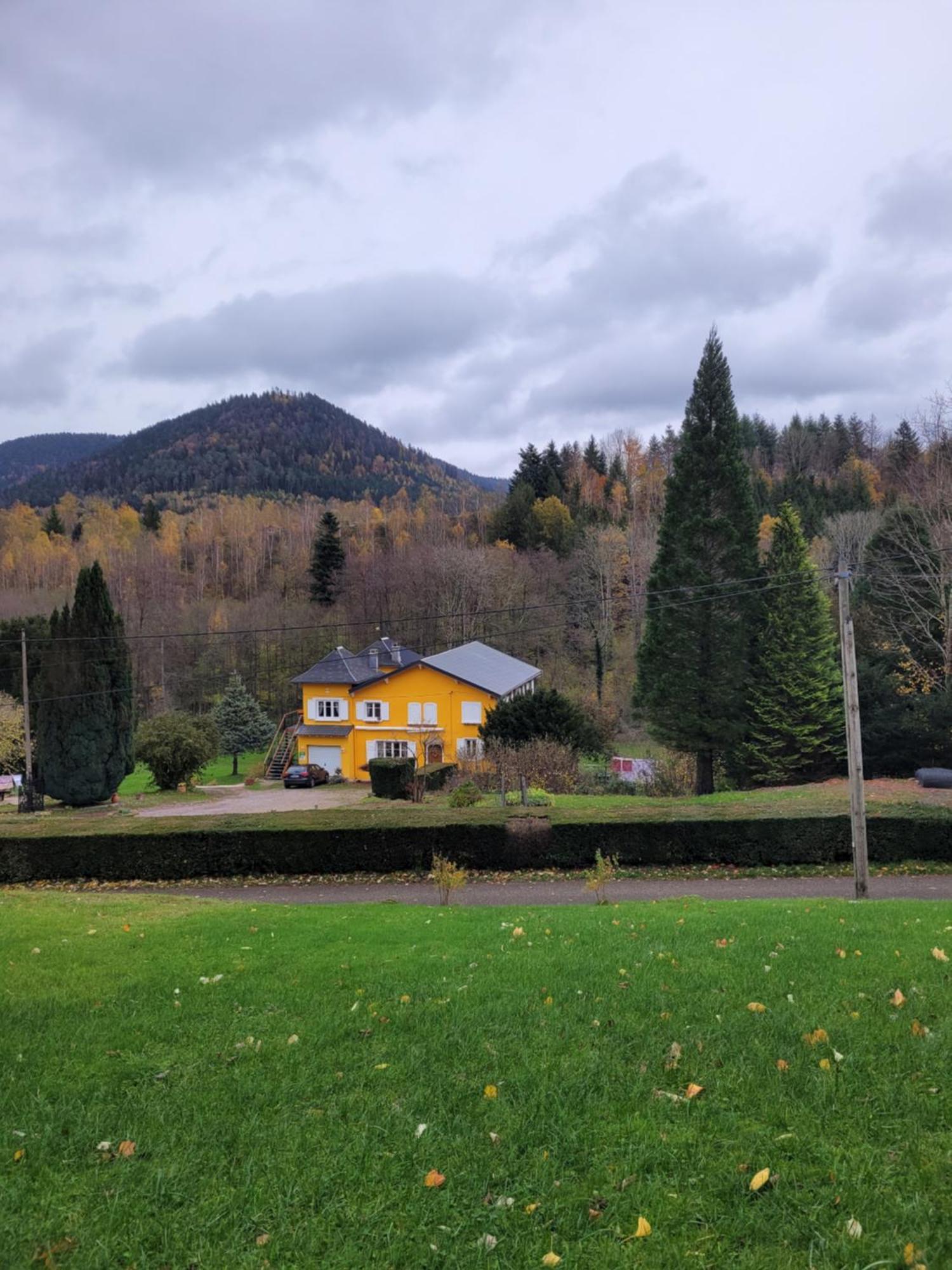 Gite Forestier Du Moulin Raon-sur-Plaine Zewnętrze zdjęcie