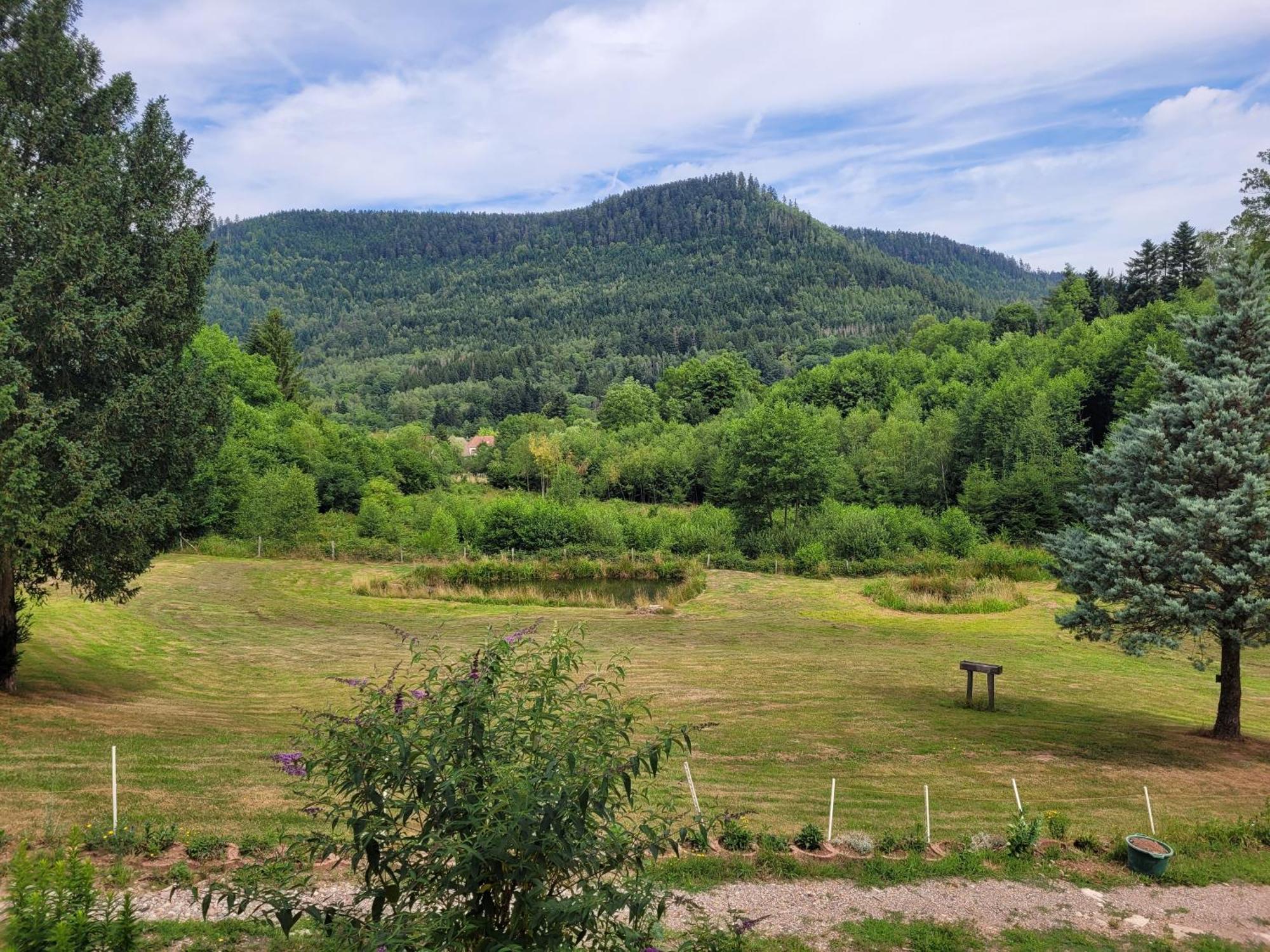 Gite Forestier Du Moulin Raon-sur-Plaine Zewnętrze zdjęcie