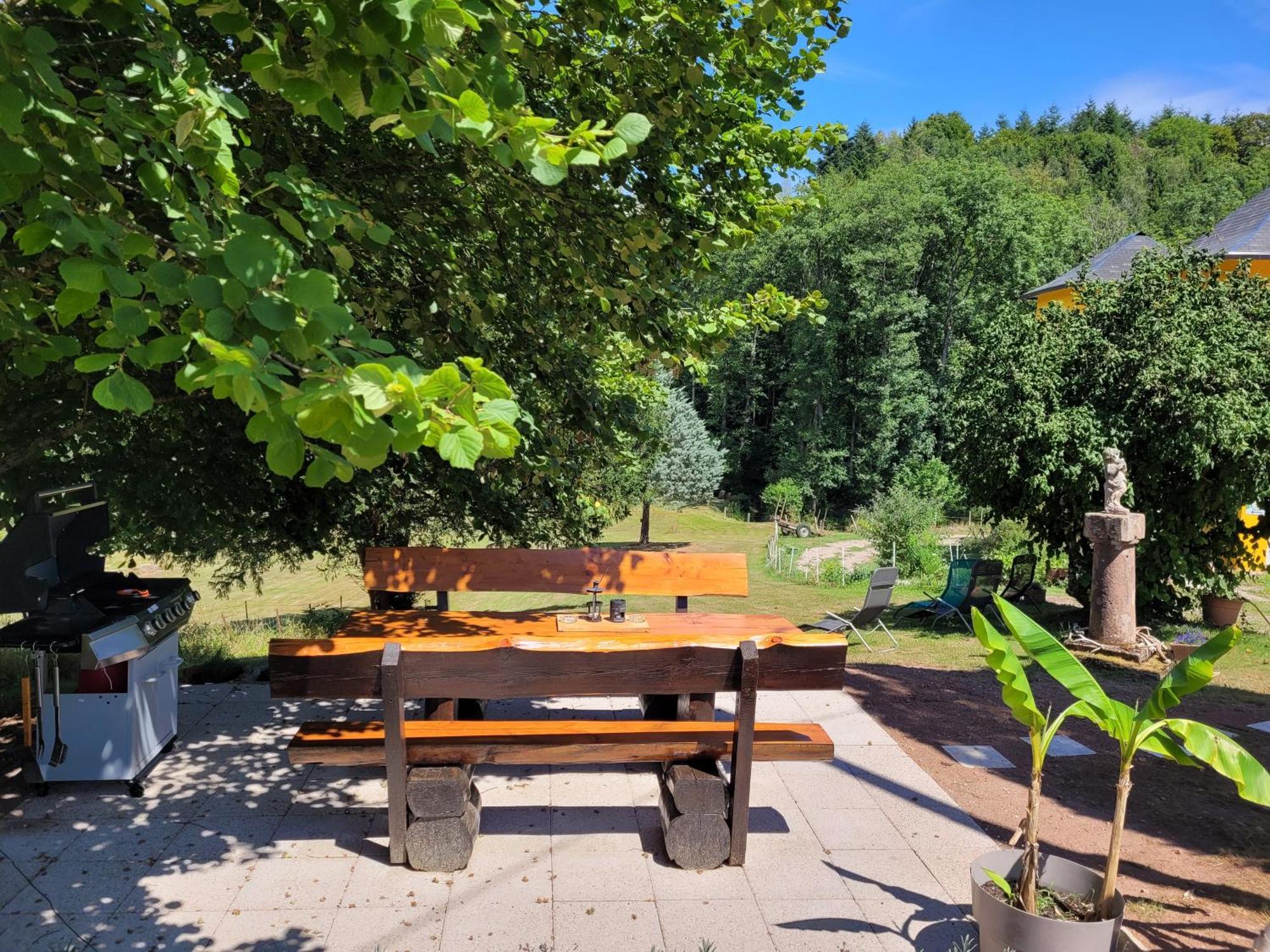 Gite Forestier Du Moulin Raon-sur-Plaine Zewnętrze zdjęcie