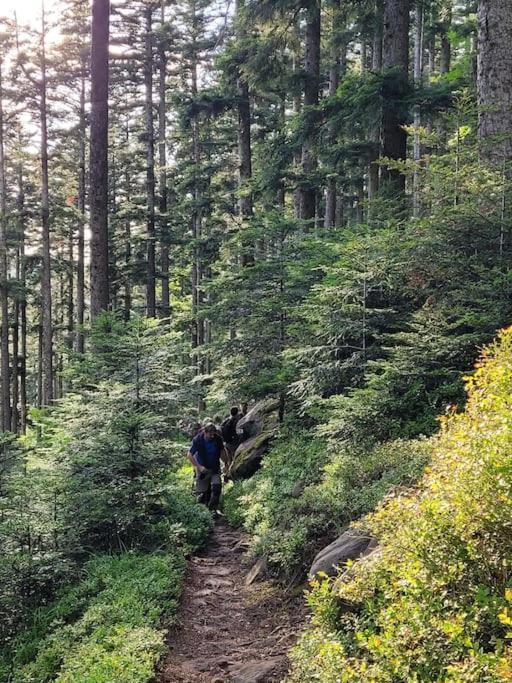 Gite Forestier Du Moulin Raon-sur-Plaine Zewnętrze zdjęcie