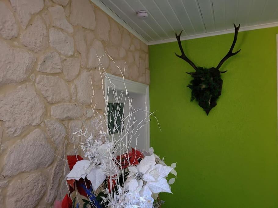 Gite Forestier Du Moulin Raon-sur-Plaine Zewnętrze zdjęcie