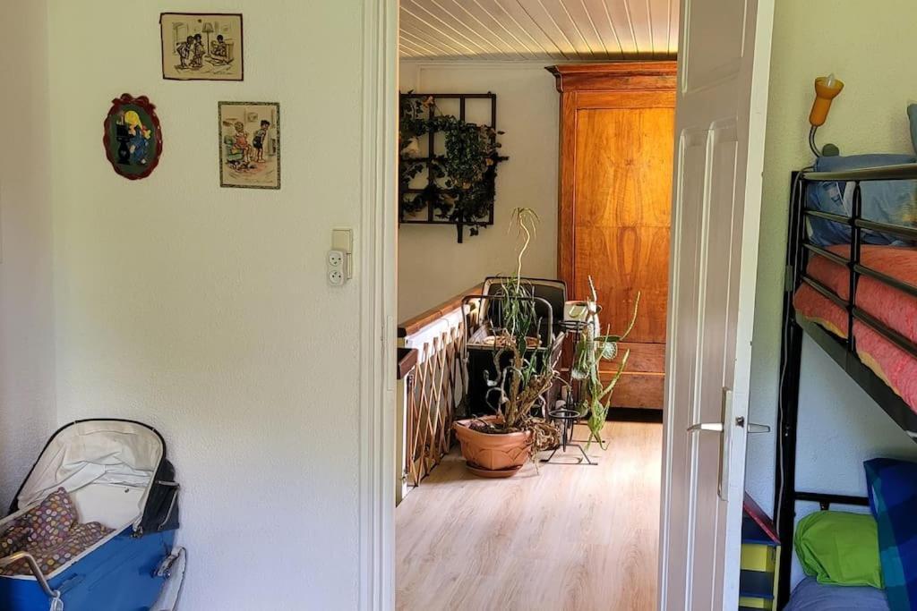 Gite Forestier Du Moulin Raon-sur-Plaine Zewnętrze zdjęcie
