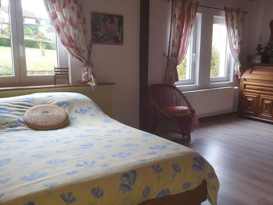 Gite Forestier Du Moulin Raon-sur-Plaine Zewnętrze zdjęcie