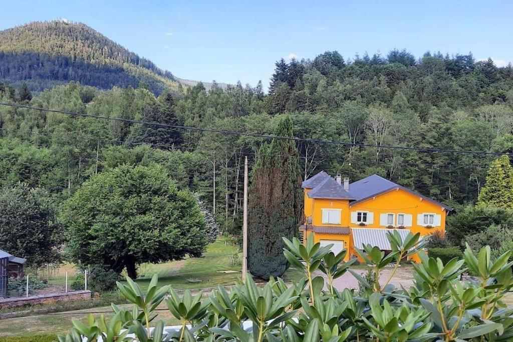 Gite Forestier Du Moulin Raon-sur-Plaine Zewnętrze zdjęcie