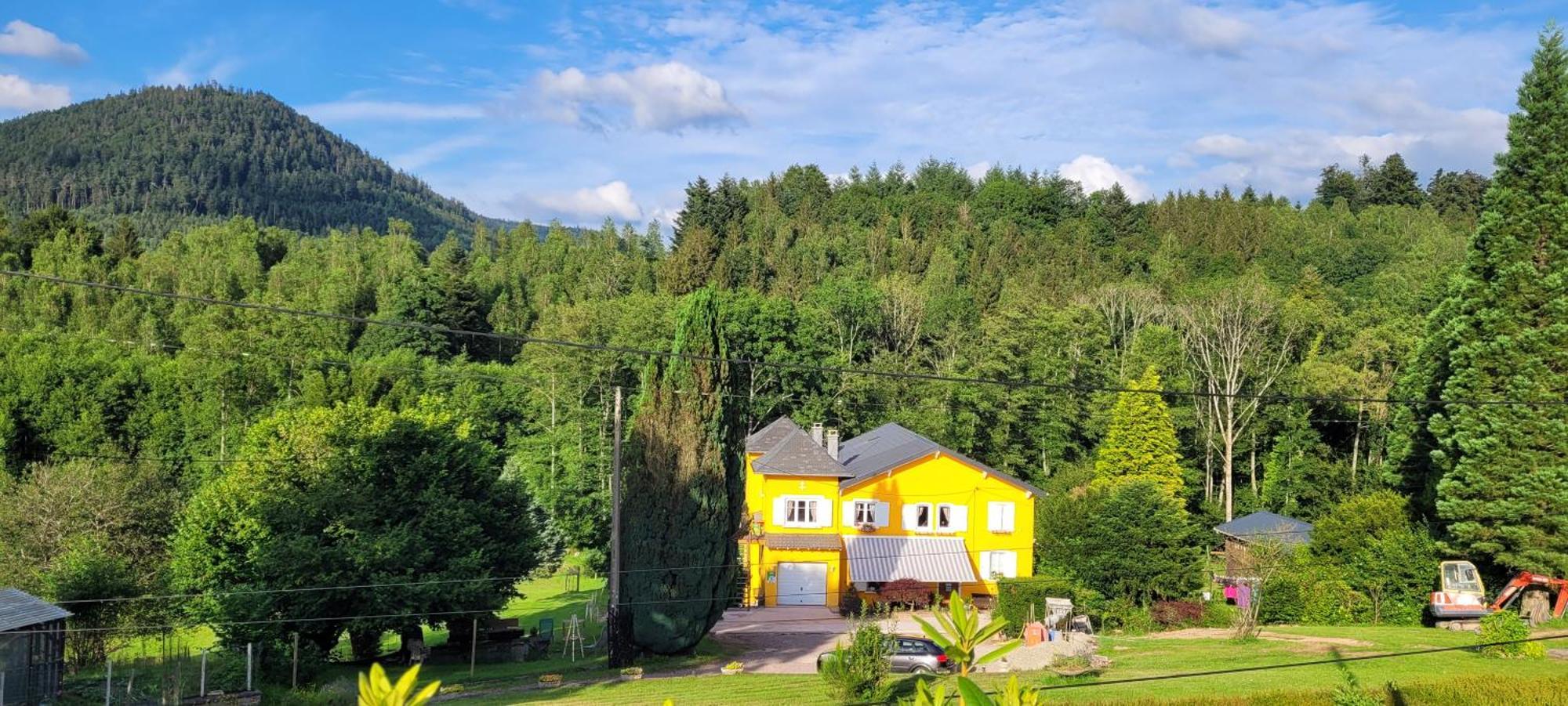 Gite Forestier Du Moulin Raon-sur-Plaine Zewnętrze zdjęcie