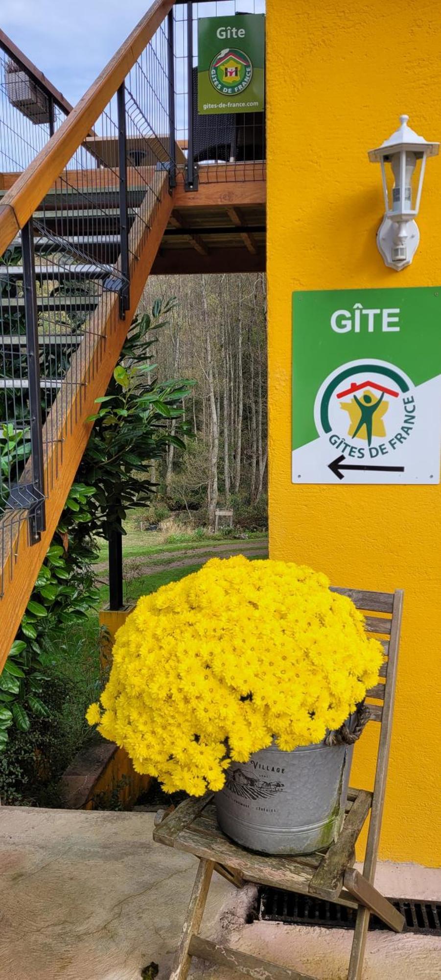 Gite Forestier Du Moulin Raon-sur-Plaine Zewnętrze zdjęcie