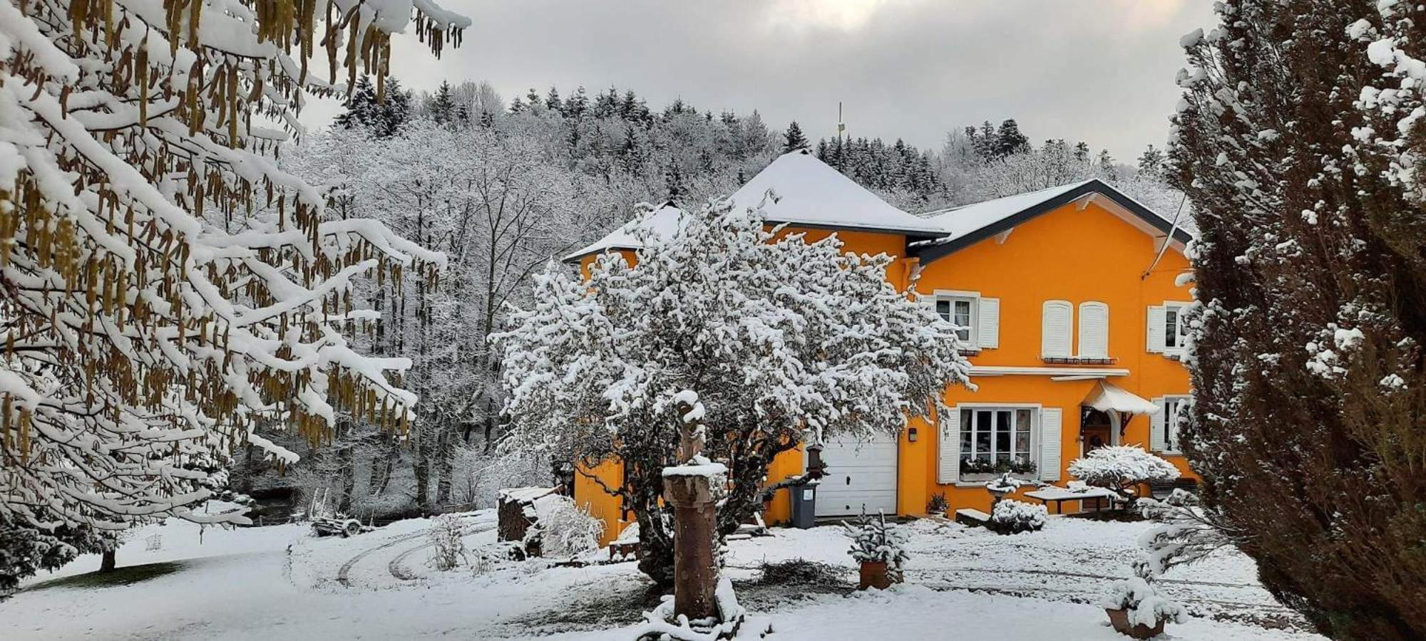 Gite Forestier Du Moulin Raon-sur-Plaine Zewnętrze zdjęcie